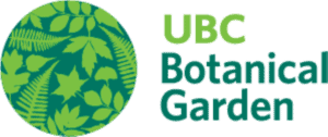 UBCBG logo stacked colour_outlines (Small)