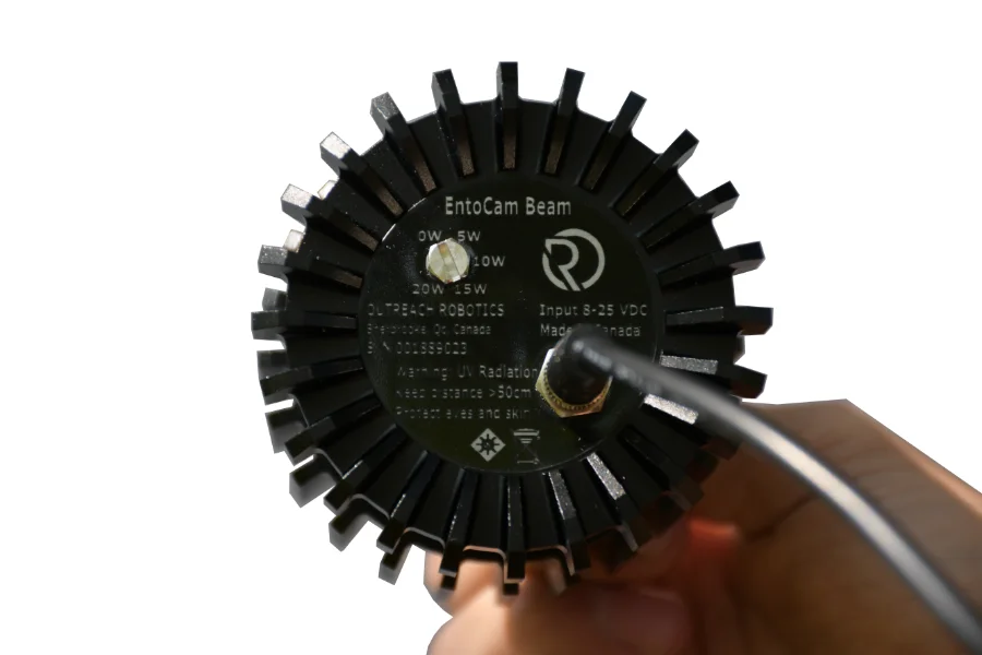 entocam beam Sans titre 900 x 600 px 2